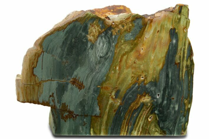 Free-Standing, Gary Green Jasper (Larsonite) Bog Wood - Oregon #334809